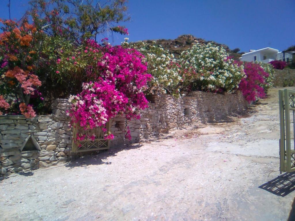 Eva Villa Μυλοπότας Εξωτερικό φωτογραφία